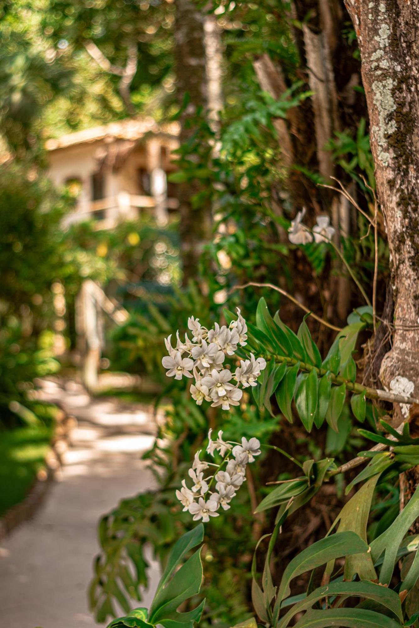 Hotel Boutique Bahia Bonita ตรันโกโซ ภายนอก รูปภาพ